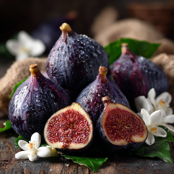 Vanilla Fig Soy Blend Candle